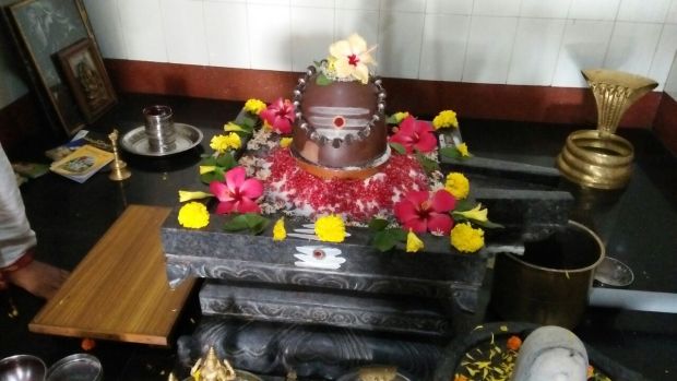 WhatsApp Image 2017-11-08 at 4.08.22 PM